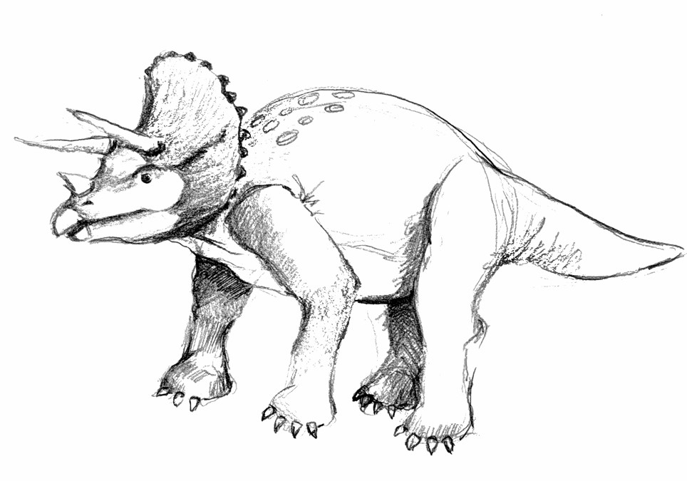 Triceratops 5b